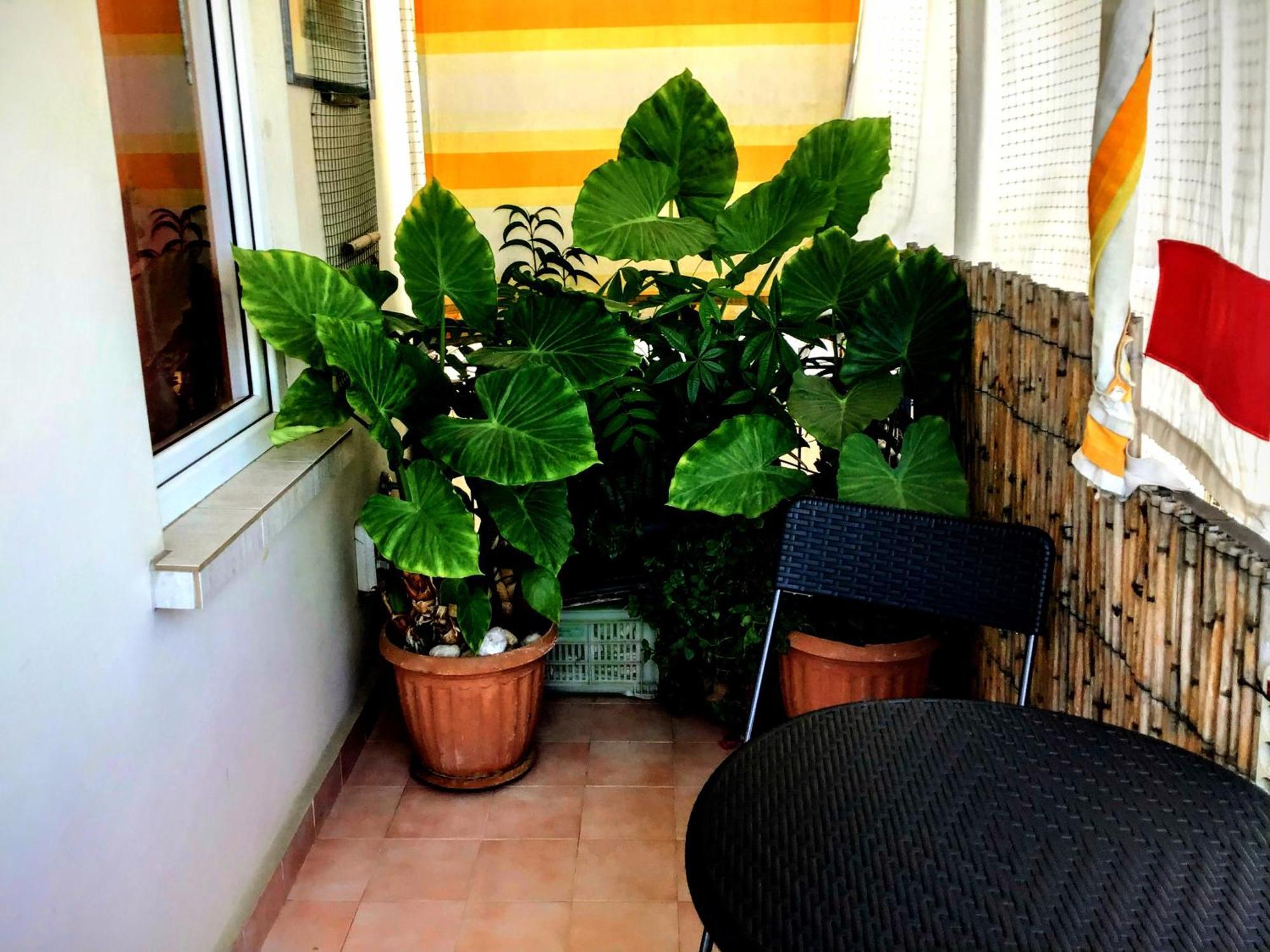 Appartement Antalyaloft Extérieur photo